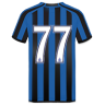 Marcelo Brozović